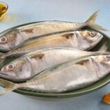Mackerel / Ayala / അയല