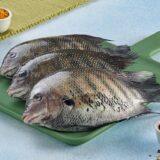 Karimeen / കരിമീൻ