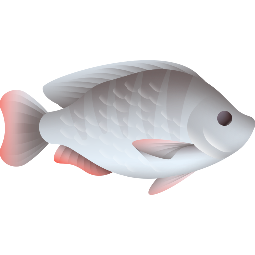 Fresh Fish & Seafood